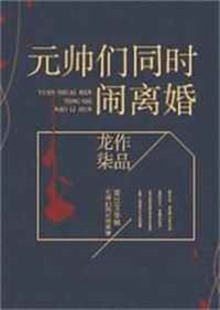 元帅们都闹着离婚